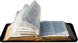 Welcome to the River Colorado